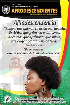 Resolución 68/237 de 2013.