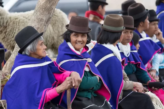 DECRETO 1848 DE 2017