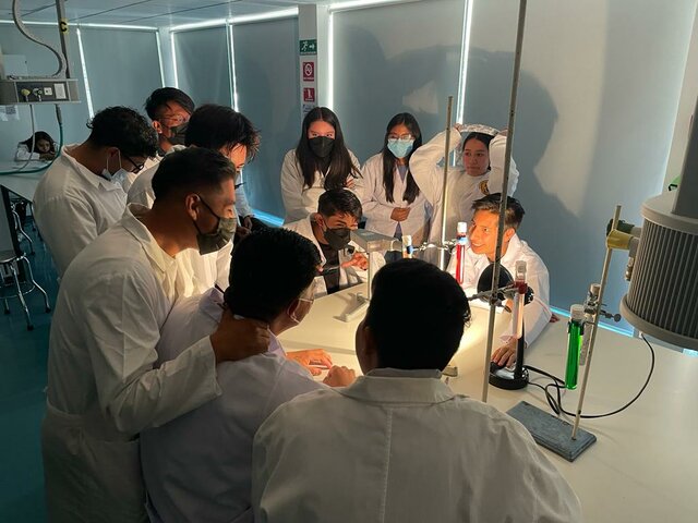 Ingreso a la Universidad