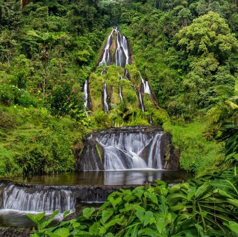 Alexander viaja al Eje Cafetero, por primera vez