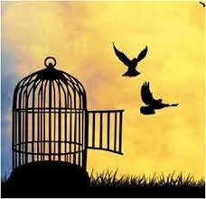 Jugoslovanska socialdemokratka stranka - JSDS