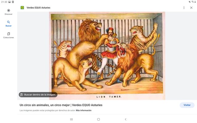 COLECCIÓN DE ANIMALES