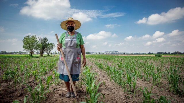 Ley 731 DE 2002- normas para favorecer a las mujeres rurales