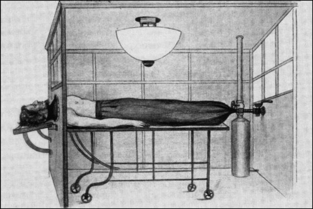 Factores que influyeron en el desarrollo de la VPP.