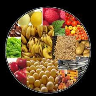 Timeline: Marcos regulatorios mexicanos en biodiversidad