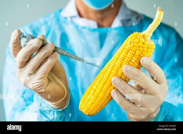 Publicación del régimen de protección espacial del maíz