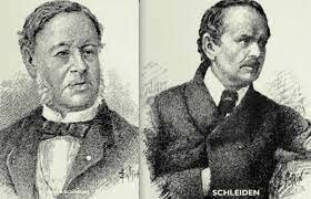 Theodor Schwann - Matthias Schleiden