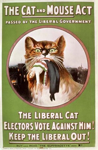 Cat and Mouse Act