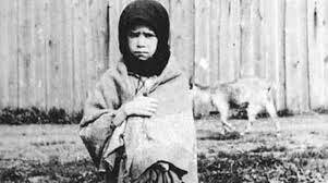 Holodomor begins- why?