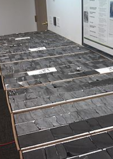 (3) Bakken Formation