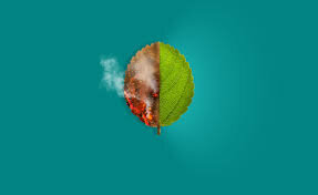 Lucha Contra el Cambio Climático