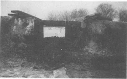 Polly's body located and dug up