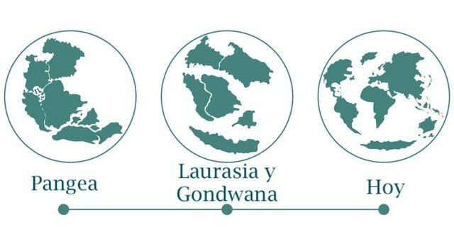 Separación de pangea