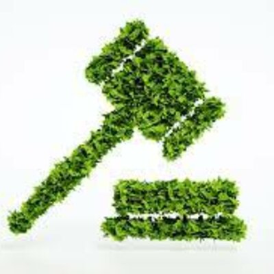 Timeline: Environmental Laws, Agencies, and Treaties- Kayla McGreevey