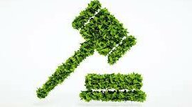 Timeline: Environmental Laws, Agencies, and Treaties- Kayla McGreevey