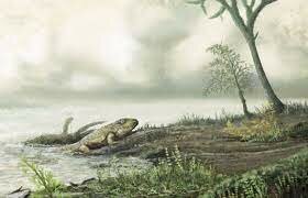 PRIMEROS ORGANISMOS TERRESTRES