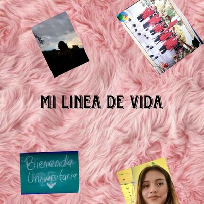 Timeline: MI LINEA DE VIDA