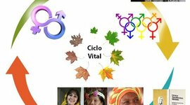 Timeline: RECONOCIMIENTO A LA PARTICIPACIÓN VULNERABLE EN COLOMBIA