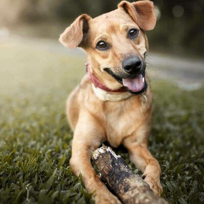 Timeline: la vida de mateo