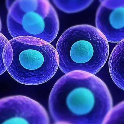 Timeline: უჯრედის აღმოჩენის ისტორია