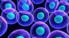 Timeline: უჯრედის აღმოჩენის ისტორია