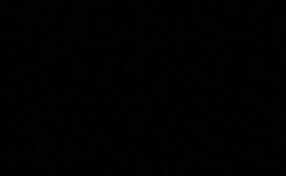 Comienza a estudiar en la Universidad de Granada