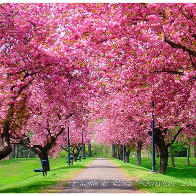 Timeline: წელიწადის დროები