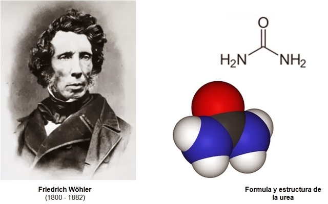 Sobre la formación artificial de urea