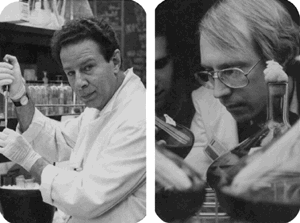 Una cinta de ARN en ribonucleasa P