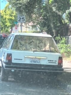 Car Camping on Morgan Street near 10th