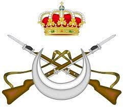 Creación cuerpo de regulares