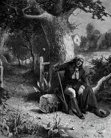 Newton Discover Gravity