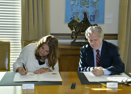 El Estado peruano suscribió dos Convenciones Internacionales de la OEA.