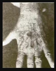 Betty Cash's Encounter (Cont.)