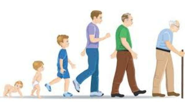 Segunda Infancia - Adolescencia - Adultez