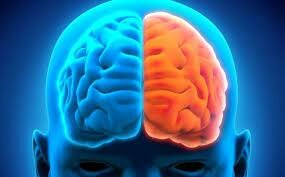 Maduración del lóbulo frontal