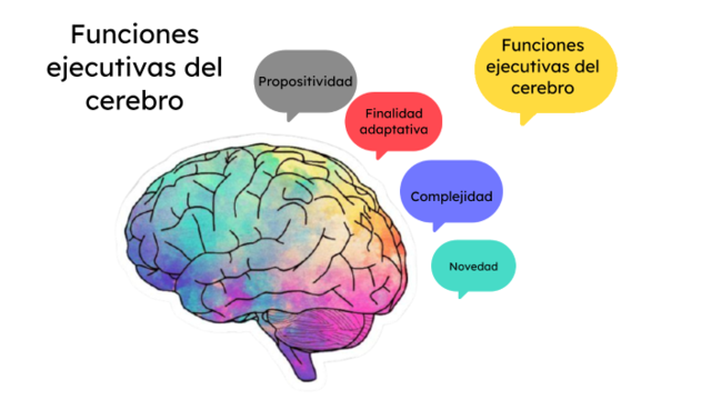Funciones Ejecutivas