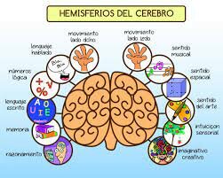 Funciones Ejecutivas