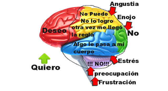 Funciones Emocionales