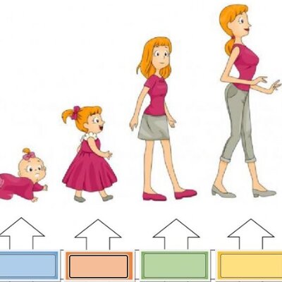 Timeline: Etapa Prenatal, Perinatal, Posnatal y Neurodesarrollo