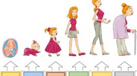 Timeline: Etapa Prenatal, Perinatal, Posnatal y Neurodesarrollo