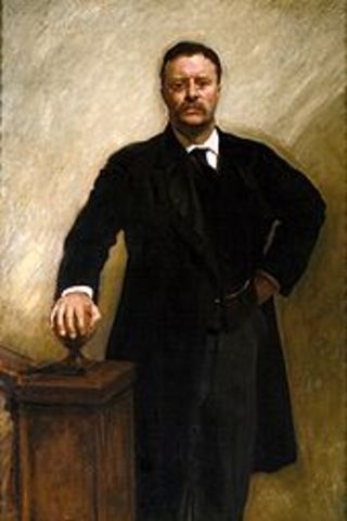 Theodore Rosevelt became president