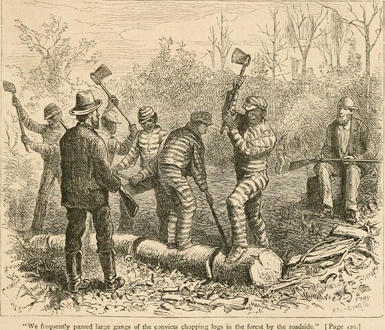 The Black Codes