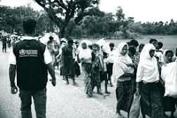 World Health Organization formed by the United Nations