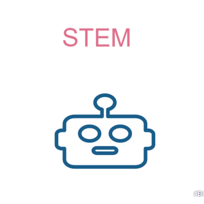 Timeline: Project Plan-STEM In Life