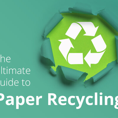 Timeline: პროექტი-"ხე შეუნახე შვილებსა"