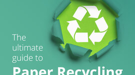 Timeline: პროექტი-"ხე შეუნახე შვილებსა"