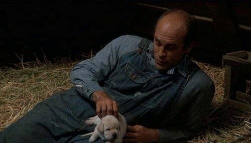 Lennie kills his puppy