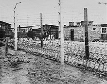 Liberation of Concentration Camps