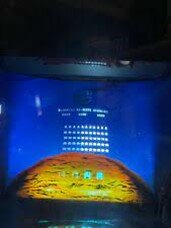 (Arcade) Cultura competitiva